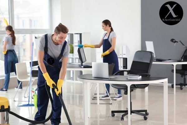 Eco-friendly maids, organic cleaning: The cleaning service you deserve