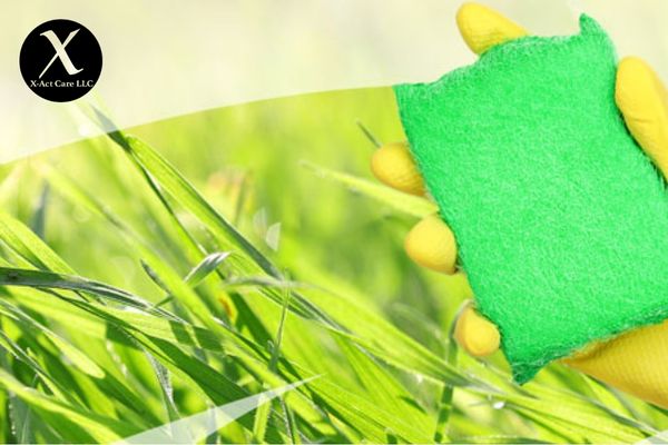 Eco-friendly maids, organic cleaning: The cleaning service you deserve