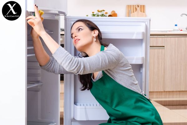 Kitchen Appliances Cleani